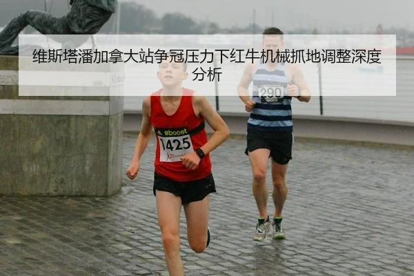 维斯塔潘加拿大站争冠压力下红牛机械抓地调整深度分析
